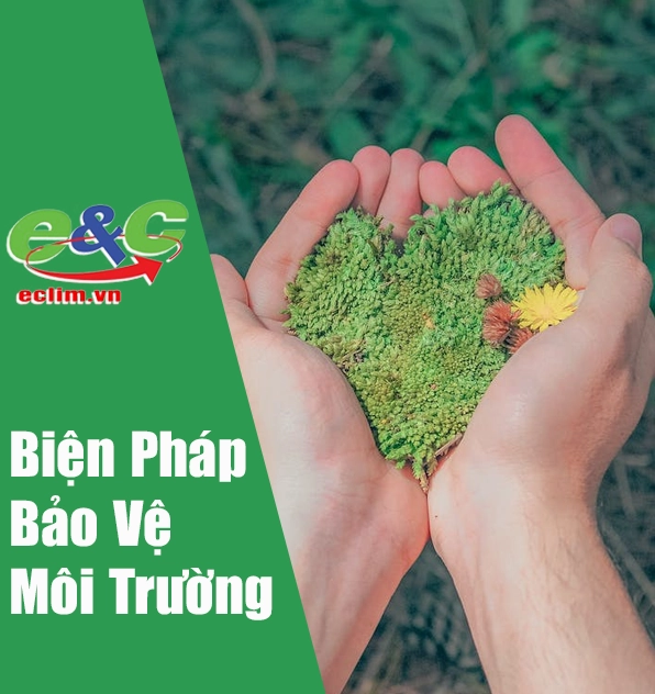 Biện pháp bảo vệ môi trường hiệu quả cho cuộc sống bền vững