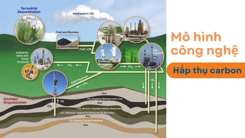 Carbon dioxide là gì? Tìm hiểu về nồng độ CO2 trong khí quyển
