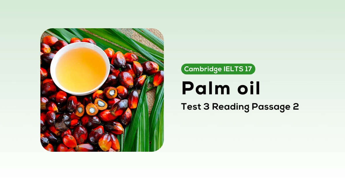 Dầu cọ palm oil: Từ sản xuất đến tác động môi trường và kinh tế