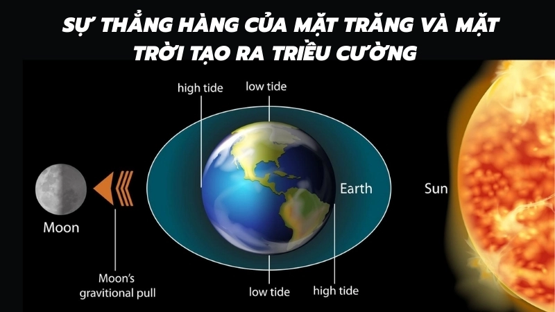 Mặt Trăng kéo nước biển - Giải thích vì sao có thủy triều
