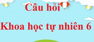 Mặt trời mọc đằng đông, lặn đằng tây: Tại sao lại như vậy?
