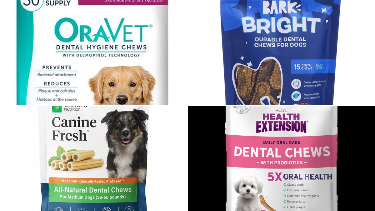 Optimizing Oral Hygiene with Long-Lasting Dog Chews for Dental Health in 2026