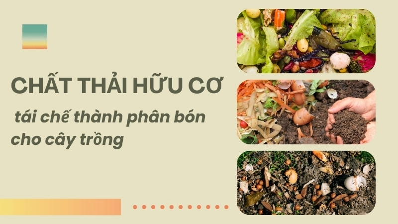 Phân tích thành phần N-P-K trong các loại phân hữu cơ