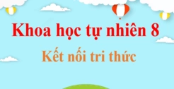 Sinh quyển Trái Đất: Khái niệm, thành phần và vai trò thiết yếu