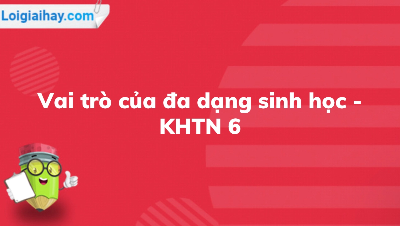 Vai trò của đa dạng sinh học: Nền tảng vững chắc cho sự sống trên Trái Đất
