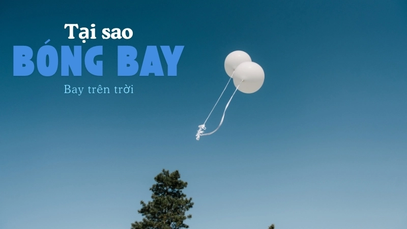 Vì sao bóng bay bay lên trời? Tìm hiểu trọng lực và lực đẩy
