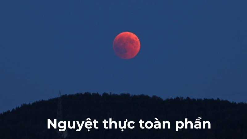 Vì sao có nguyệt thực? Giải thích sự che khuất của Trái đất