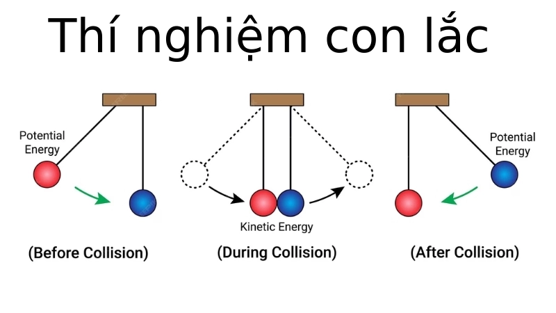 Vì sao con lắc dao động? Năng lượng và lực học kỳ diệu