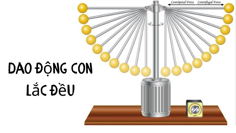 Vì sao dao động con lắc đều? Vai trò của lực cản