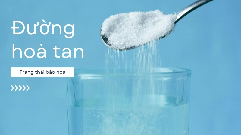 Vì sao đường tan trong nước? Vai trò của các phân tử phân cực