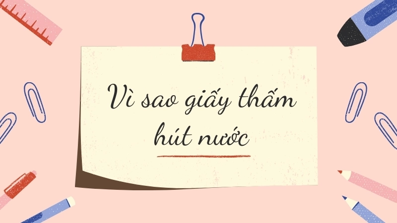 Vì sao giấy thấm hút nước? Cấu trúc sợi xenlulozo