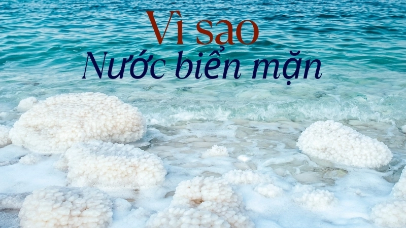 Vì sao nước biển mặn? Giải thích chu trình địa chất chi tiết