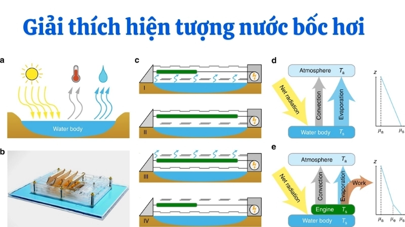 Vì sao nước bốc hơi nhanh hơn khi có gió và ánh sáng mặt trời