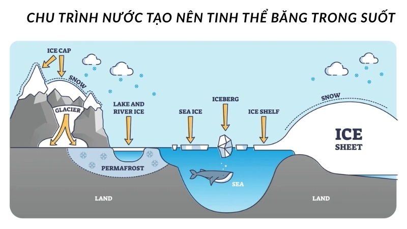Vì sao nước đóng thành băng? Nhiệt độ để nước chuyển thành băng