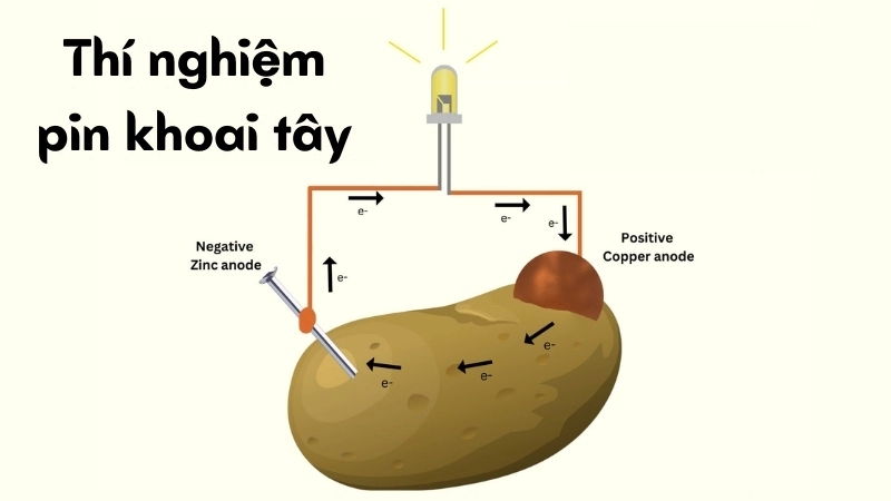 Vì sao pin khoai tây tạo điện - Phản ứng giữa kim loại