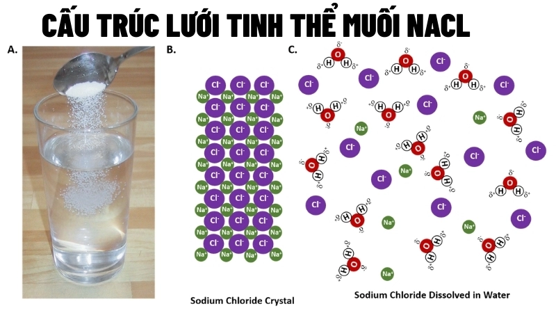 Vì sao tinh thể muối hình vuông? Trật tự của nguyên tử