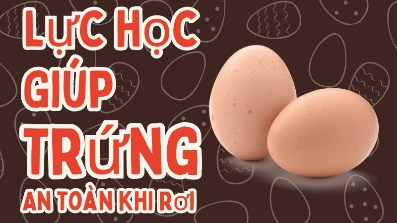 Vì sao trứng không vỡ khi rơi? Thí nghiệm cầu trứng