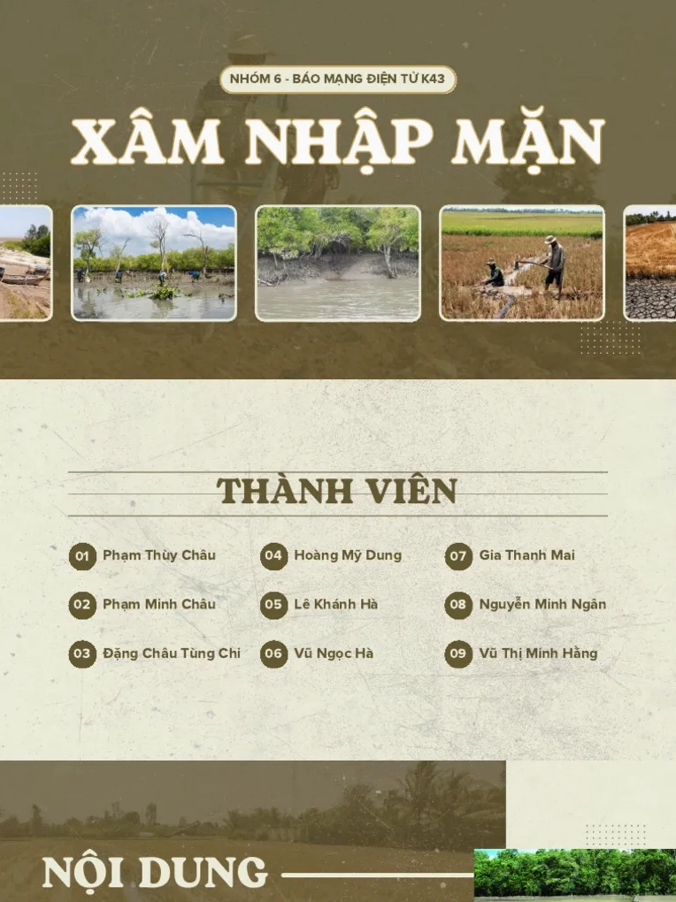 Xâm Nhập Mặn: Hiểu Rõ Nguyên Nhân và Đối Phó Hiệu Quả Tại Đồng Bằng Sông Cửu Long